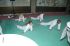 DSC_5347.jpg