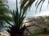 Dateiname=Fuerteventura_201340.jpg
Dateigröße=128KB
Abmessungen: 768x576
hinzugefügt am: 16. November 2013 Fuerteventura_201340.jpg