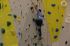 Dateiname=Kletterhalle_2016061.jpg
Dateigröße=119KB
Abmessungen: 1459x973
hinzugefügt am: 09. Juni 2016 Kletterhalle_2016061.jpg