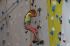 Dateiname=Kletterhalle_2016063.jpg
Dateigröße=134KB
Abmessungen: 1459x973
hinzugefügt am: 09. Juni 2016 Kletterhalle_2016063.jpg