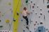 Dateiname=Kletterhalle_2016064.jpg
Dateigröße=133KB
Abmessungen: 1459x973
hinzugefügt am: 09. Juni 2016 Kletterhalle_2016064.jpg