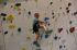 Dateiname=Kletterhalle_2016092.jpg
Dateigröße=138KB
Abmessungen: 1459x973
hinzugefügt am: 09. Juni 2016 Kletterhalle_2016092.jpg