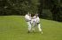 Dateiname=openairtraining014.jpg
Dateigröße=253KB
Abmessungen: 1504x1000
hinzugefügt am: 08. August 2012 openairtraining014.jpg