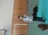 sommerfest_12052.jpg
